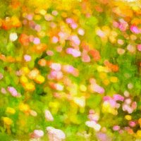 nature's painted symphony - abstract watercolor floral burst - garden decoration stock pictures, royalty-free photos & images