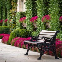 niagara park botanical garden - home decoration stock pictures, royalty-free photos & images