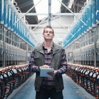 niet alleen uw gemiddelde melkveebedrijf - food stockfoto's en -beelden