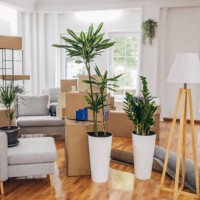 nieuw huis - home decoration stockfoto's en -beelden