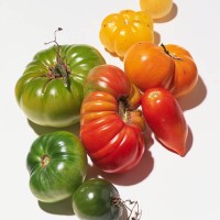 non-hybridized heirloom tomatoes - food stockfoto's en -beelden