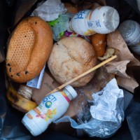 November 2023, Berlin: , Berlin. Bread rolls lie in a bin near Potsdamer Platz. Photo: Wolfram Steinberg/dpa Photo: Wolfram Steinberg/dpa