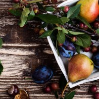 occasions. thanksgiving autumnal still life - home decoration stock pictures, royalty-free photos & images