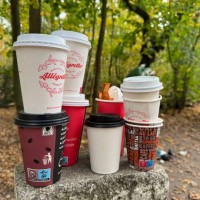 October 2024, Berlin: Various empty, used disposable paper cups on a stone by the side of the path in Grunewald forest Photo: Peter Kneffel/dpa