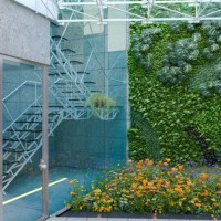 office with garden inside - garden decoration stockfoto's en -beelden