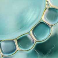 oil and water abstract - food stock pictures, royalty-free photos & images