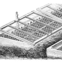 old engraved illustration of ventilation of sprouted young plants in small greenhouse - garden decoration stock pictures, royalty-free photos & images