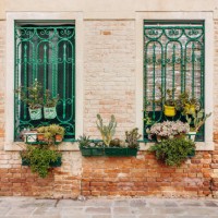 old house facade full of succulents in venice - garden decoration stock pictures, royalty-free photos & images