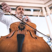 old man playing cello in a park - concert stock pictures, royalty-free photos & images
