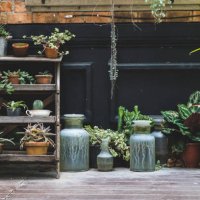 old pottery in garden,gardening decoration element,green plant on pottery in houseplant - garden decoration stock pictures, royalty-free photos & images