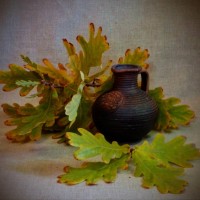 olympus digital camera - garden decoration stock-fotos und bilder