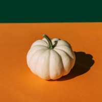 one white pumpkin front view, green and orange colors. halloween and thanksgiving day concept. - home decoration stock pictures, royalty-free photos & images