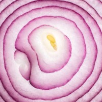 onion slices full frame close up shot - food stockfoto's en -beelden