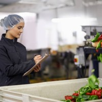 only top quality will do - food stock pictures, royalty-free photos & images