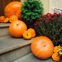 orange halloween pumpkins decoration sitting on a stone sidewalk with autumn leaves and flowers surrounding, farm street markets - home decoration stock pictures, royalty-free photos & images