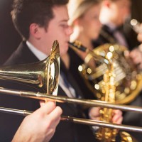 orchestra performing - concert stock pictures, royalty-free photos & images