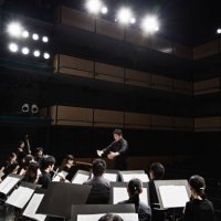 orchestra playing musical instruments at concert hall - concert stock pictures, royalty-free photos & images