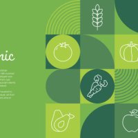 organic banner design vector illustration. organic food, vegan, farm fresh, natural product, bio and locally grown. - food stock illustrations
