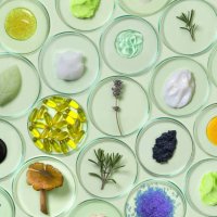 organic, bio cosmetics healthy concept with petri dishes with natural plants and beauty products. - food stock pictures, royalty-free photos & images