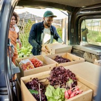 organic farmers loading van with boxes of produce - food stock pictures, royalty-free photos & images