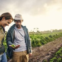 organic farming, it’s about quality not quantity - food stock pictures, royalty-free photos & images