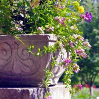 ornate planter with wildflowers in a formal garden - garden decoration stock pictures, royalty-free photos & images
