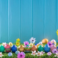 ostereier auf rasengras und blauer holzwand mit frühlingsblumen - garden decoration stock-fotos und bilder