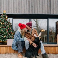 our little family's christmas portrait - garden decoration stock pictures, royalty-free photos & images