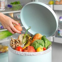 out of date in garbage bin in front of fridge - food stock pictures, royalty-free photos & images