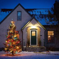 outdoor christmas tree decorated with lights in front of home - garden decoration stock pictures, royalty-free photos & images