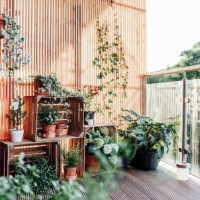 outdoor plants in balcony - home decoration stock pictures, royalty-free photos & images