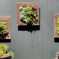 outdoor vertical garden living wall art of succulent plants - garden decoration stock pictures, royalty-free photos & images