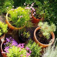 overhead view of back garden with flower pots - garden decoration stock pictures, royalty-free photos & images