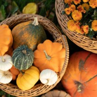 overhead view of wicker baskets filled with assorted pumpkins and orange chrysanthemums in a garden - garden decoration stock pictures, royalty-free photos & images