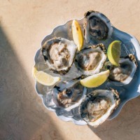 oysters with lime on ice on a plate, directly above view - food stock pictures, royalty-free photos & images