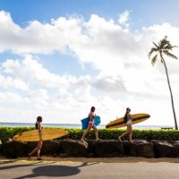 pacific islander surfers carrying surfboards on rock wall - travel stock-fotos und bilder