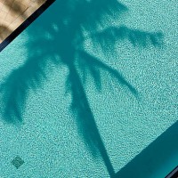 palm tree and pool, birds eye-view. - fashion stock pictures, royalty-free photos & images