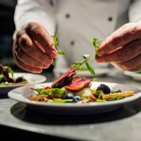 pan fried duck. - food stock pictures, royalty-free photos & images