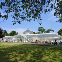 parc botanique pendant la saison estivale à glasgow, écosse, angleterre, royaume-uni - garden decoration photos et images de collection