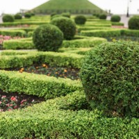 park with shrubs and green lawns, landscape design - garden decoration stock pictures, royalty-free photos & images