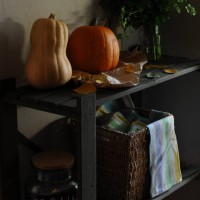part of home interior in rustic style with wooden shelving side view with still life with large orange pumpkins, garden herbs and autumn leaves on a light texture wall background close up - garden decoration stock-fotos und b
