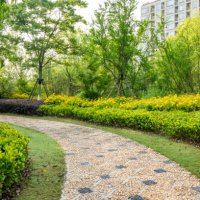 path full of daisies in the garden - garden decoration stock pictures, royalty-free photos & images