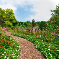 path thru lush summer flower garden - i - garden decoration stock pictures, royalty-free photos & images