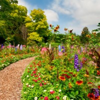 path thru lush summer flower garden - iv - garden decoration stock pictures, royalty-free photos & images