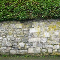 patinated stone wall with lichen, thick ivy hedge and sidewalk in evian-les-bains, haute-savoie, france - garden decoration stock pictures, royalty-free photos & images