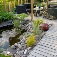 patio and pond in the afternoon sun - garden decoration stock pictures, royalty-free photos & images
