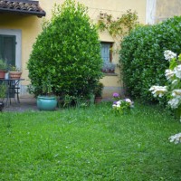 patio with flower pots, round table, hedge and white hhydrangea - garden decoration photos et images de collection