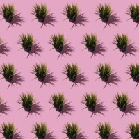 pattern of pots with a plastic green leafy plant, on a pink background. concept of plants, decoration and nature. - garden decoration stock pictures, royalty-free photos & images