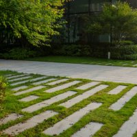 pavement paved with grass bricks - garden decoration stock pictures, royalty-free photos & images