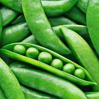 peas and pea pods - food stock pictures, royalty-free photos & images